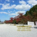 계곡휴양림 민박 이미지