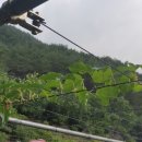 한실농장 이미지