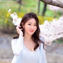 수잔 Daum카페