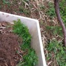 하루네 농장 이미지