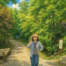 자연 | 축령산 자연휴양림 생생 후기