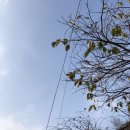 커피발전소 이미지