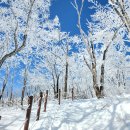 연인산풍경 | 국내 겨울 눈꽃산행 추천 산 Best 3!(소백산, 덕유산, 연인산)