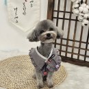 지개동산 이미지