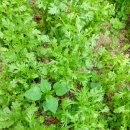 선우정경로당 이미지