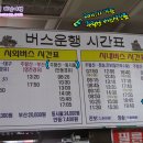 주왕산주산지민박 이미지