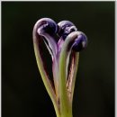 달맞이팬션 이미지