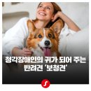 시그니아독일보청기 노원센터 이미지