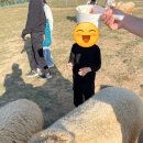 장수원목장 이미지