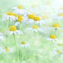 민앤마이노 칠성점 이미지