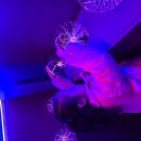 ＜🌸물푸레반🌸＞ ⚡️ 번개맨과 함께한 특별한 하루 ⚡️ 이미지