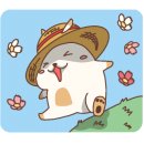 스타정보 이미지