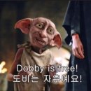 해맞이펜션 - 여수시 향일암로 70-8 | 해맞이펜션