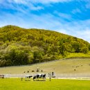 더불어목장 이미지