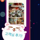 성이수산 이미지