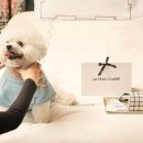 호텔벤(BEN) 이미지