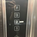 엘라인(L.Line) | 홍성 피부관리 엘라인 이지다 바디관리 후기