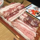 엉터리생고기 이미지