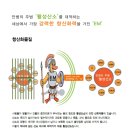좋은미생물 이미지