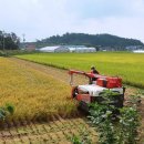 홍지마을 이미지