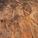 붉은 여우 PC 이미지