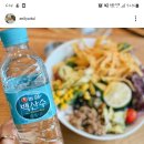 코디웜플 이미지