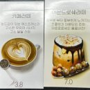 레인슈타인 이미지