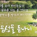 내음성 이미지