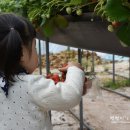 환이네농장 이미지