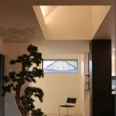 스테이 너울 이미지