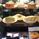 엔제리너스 신모라 이미지