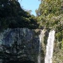 제주에산다면 이미지