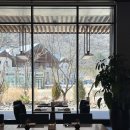 그린파크카 | 정선 ｜ 파크로쉬 리조트앤웰니스, 파크키친 조식...룸, 가리왕산 케이블카, 디지털 관광주민증 할인...