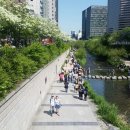 동대문문화역사공원 이미지