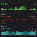 세븐일레븐 춘천제일점 | 2024 춘천마라톤 10KM 후기