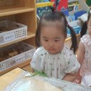 신기한나라어린이집 이미지