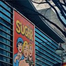 브라운도트거북섬점 이미지