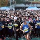 축제-평화의 축제 이미지