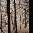 산동면사무소 이미지