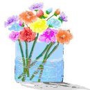 다솜이네 이미지