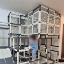 11500-15-12-24 | 가평 느리게 걷기 키즈펜션 후기 및 4인 가족 국내 여행 1박2일 코스 공유