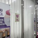 핀업래쉬 이미지