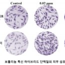 넥스젠 머니투데이