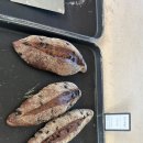 창포꽃집 | [통영] 아르세 (통영 오션뷰 대형카페, 수국 포토존 한가득 넘 예뻐요 💐)