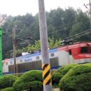 통리장터식당 이미지