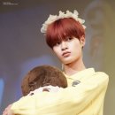 flower Fairy 이미지