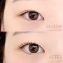 대동 바른 한의원 | 대전 동구 대동역 속눈썹펌 장인 보블랑뷰티 내돈내산 찐후기