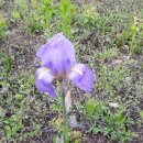 홍천산골놀이터 이미지