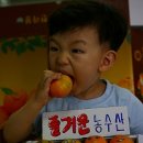 추동농장 Daum카페