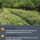 가천골 이미지
